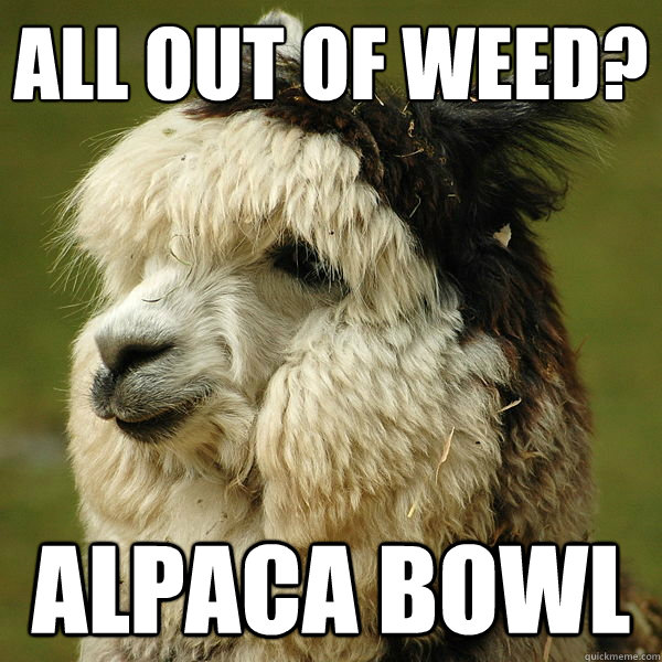 All out of weed? Alpaca Bowl - All out of weed? Alpaca Bowl  ALPACA