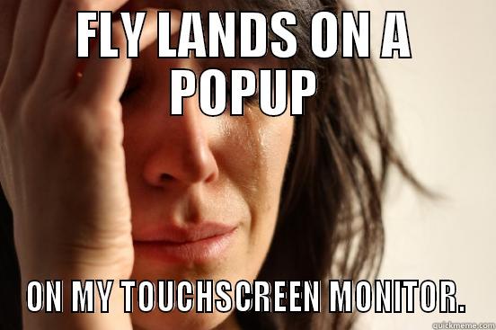 FLY LANDS ON A POPUP ON MY TOUCHSCREEN MONITOR. First World Problems