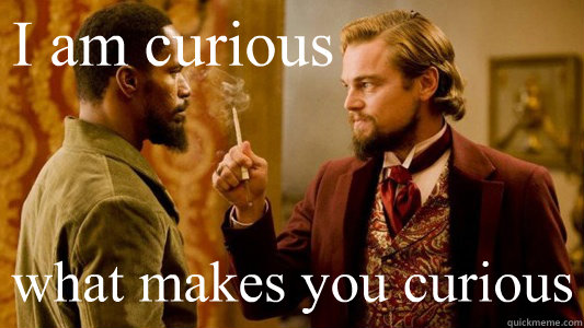 I am curious what makes you curious - I am curious what makes you curious  Django Unchained