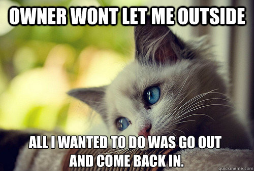 Owner wont let me outside All i wanted to do was go out
 and come back in.   First World Problems Cat