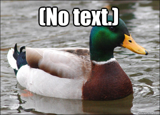 (No text.)   Actual Advice Mallard