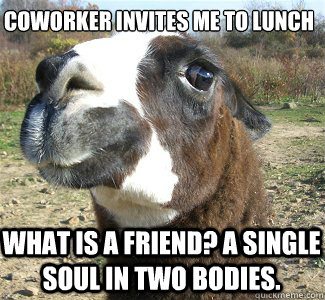 Coworker invites me to lunch What is a friend? A single soul in two bodies. - Coworker invites me to lunch What is a friend? A single soul in two bodies.  Drama Llama