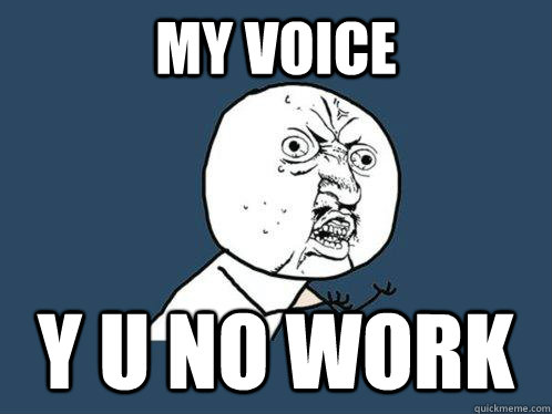my voice y u no work  Y U No