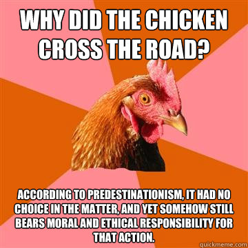 Why did the chicken cross the road? According to predestinationism, it had no choice in the matter, and yet somehow still bears moral and ethical responsibility for that action. - Why did the chicken cross the road? According to predestinationism, it had no choice in the matter, and yet somehow still bears moral and ethical responsibility for that action.  Anti-Joke Chicken