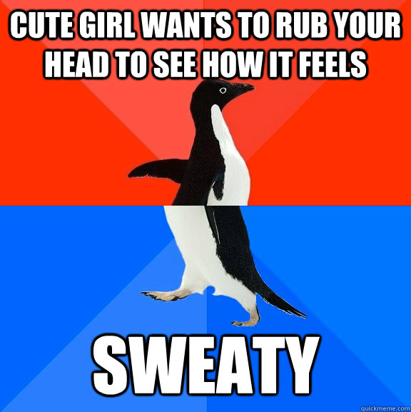 Cute girl wants to rub your head to see how it feels Sweaty  Socially Awesome Awkward Penguin