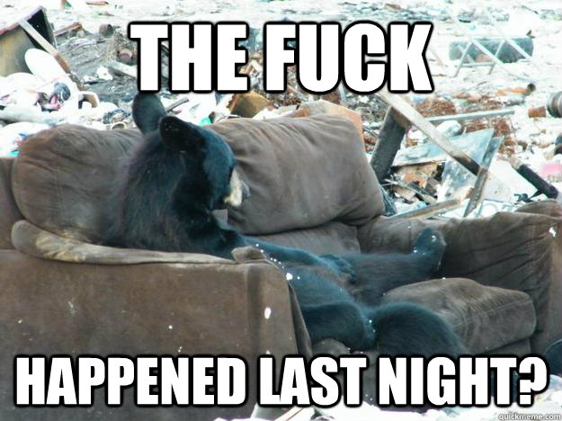 the fuck happened last night?  