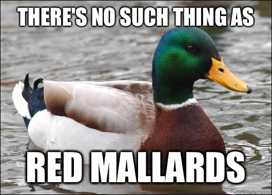 There's no such thing as Red Mallards  Actual Advice Mallard