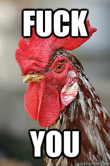 fuck you - fuck you  Offended Rooster