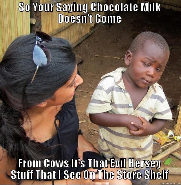 SO YOUR SAYING CHOCOLATE MILK DOESN'T COME FROM COWS IT'S THAT EVIL HERSEY STUFF THAT I SEE ON THE STORE SHELF Skeptical Third World Kid