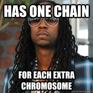 Has one chain for each extra chromosome  2 Chainz TRUUU