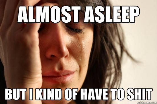 Almost asleep But I kind of have to shit  First World Problems