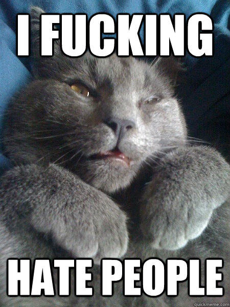 i fucking hate people  Fighter cat