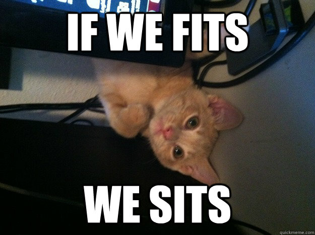 if we fits we sits - if we fits we sits  Sits fits