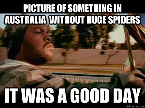 Picture of something in australia  without huge spiders it was a good day - Picture of something in australia  without huge spiders it was a good day  Misc