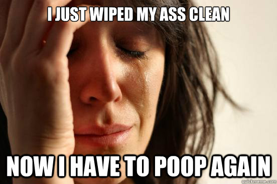 I just wiped my ass clean now i have to poop again  First World Problems