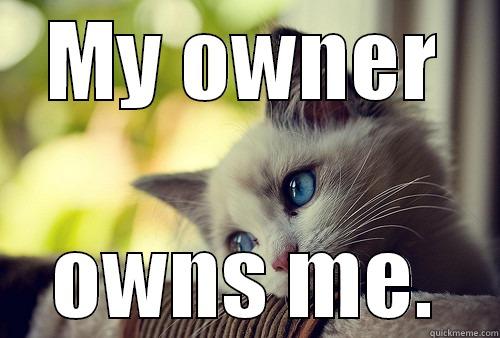 MY OWNER OWNS ME. First World Problems Cat