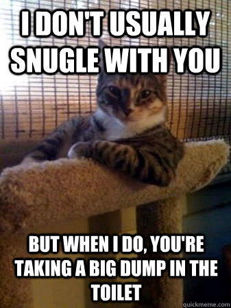I don't usually snugle with you but when I do, you're taking a big dump in the toilet  The Most Interesting Cat in the World