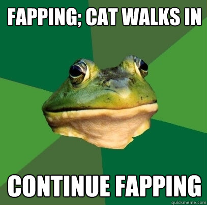 fapping; cat walks in continue fapping  Foul Bachelor Frog