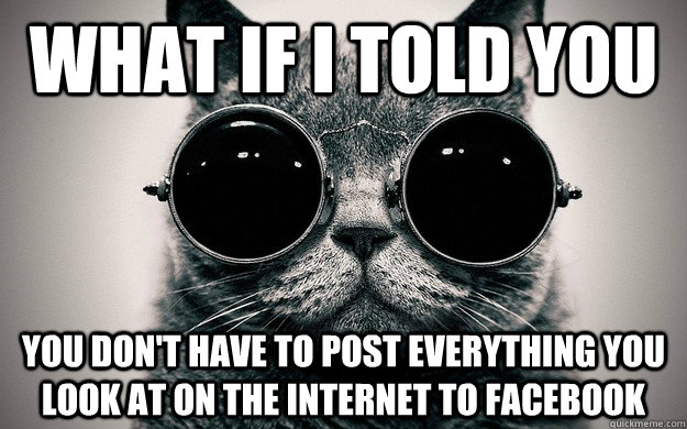 what if I told you you don't have to post everything you look at on the internet to facebook - what if I told you you don't have to post everything you look at on the internet to facebook  Morpheus Cat Facts