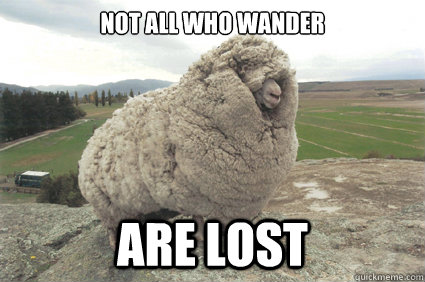 Not all who wander are lost  Shrek the Sheep