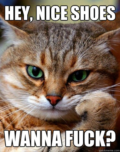 Hey, nice shoes Wanna fuck? - Hey, nice shoes Wanna fuck?  Sexually Blunt Cat