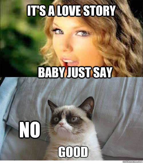 It's a love story Baby just say NO - It's a love story Baby just say NO  Taylor Swift Cat meme