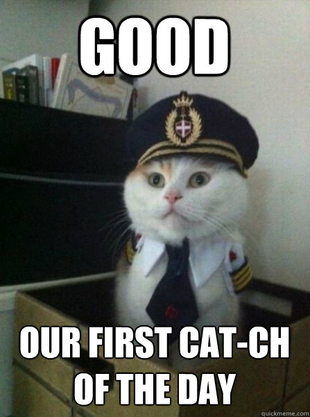 Good our first cat-ch of the day  Captain kitteh