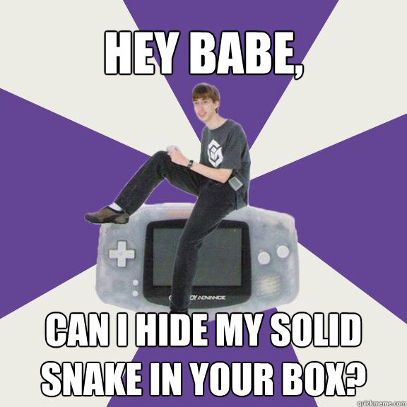 Hey babe, Can I hide my solid snake in your box?  Nintendo Norm