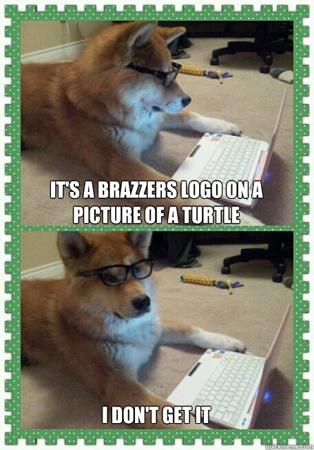 It's a brazzers logo on a picture of a turtle I don't get it  