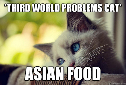 *Third World problems cat* asian food  First World Problems Cat