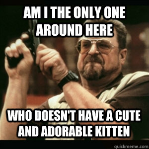 Am i the only one around here WHO DOESN'T HAVE A CUTE AND ADORABLE KITTEN - Am i the only one around here WHO DOESN'T HAVE A CUTE AND ADORABLE KITTEN  Misc