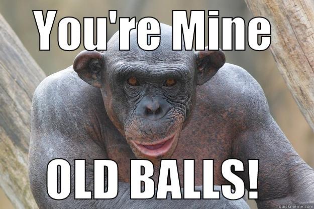 YOU'RE MINE OLD BALLS! The Most Interesting Chimp In The World