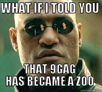 WHAT IF I TOLD YOU  THAT 9GAG HAS BECAME A ZOO Matrix Morpheus