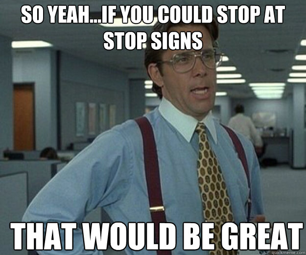 so Yeah...if you could stop at stop signs THAT WOULD BE GREAT  that would be great