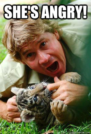 She's angry! - She's angry!  Steve Irwin- Shes Angry