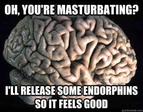 Oh, you're masturbating? I'll release some endorphins so it feels good  Good Guy Brain