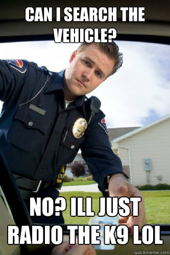 Can i search the vehicle? no? ill just radio the k9 lol  