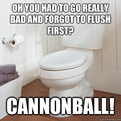 Oh you had to go really bad and forgot to flush first? CANNONBALL!   Scumbag Broken Toilet