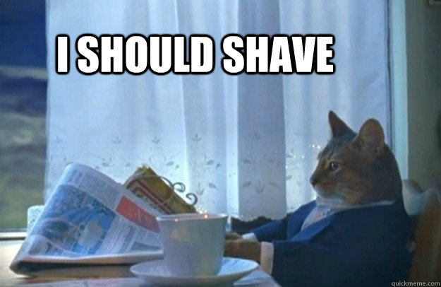I should shave  Sophisticated Cat