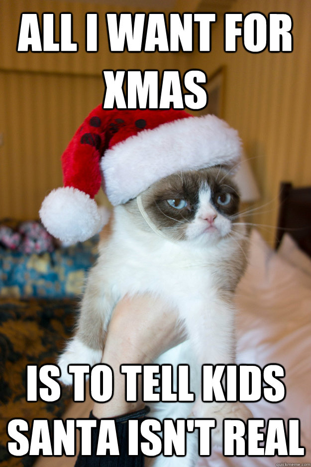 All i want for xmas is to tell kids santa isn't real  Grumpy xmas