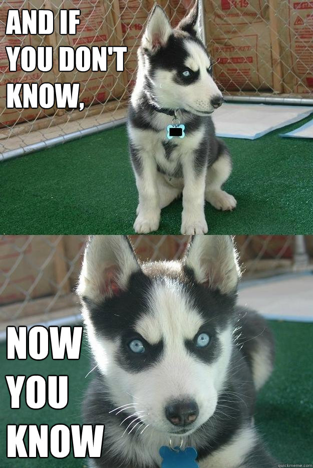 and if 
you don't 
know, now 
you 
know  Insanity puppy