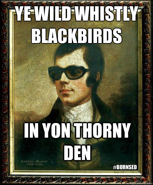 Ye wild whistly blackbirds
 in yon thorny den #burnsed  