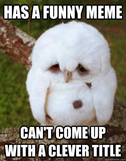 Has a funny Meme Can't come up with a clever title  Depressed Owl