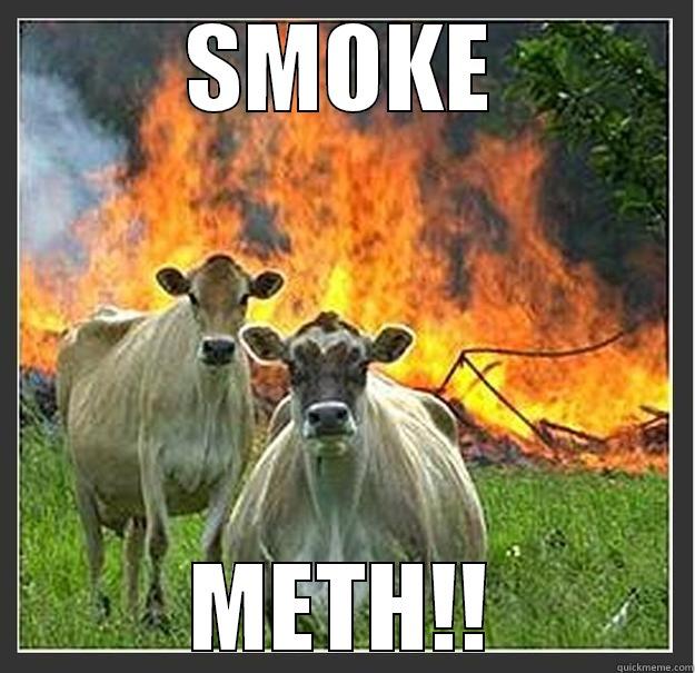 Smoke Meth - SMOKE METH!! Evil cows