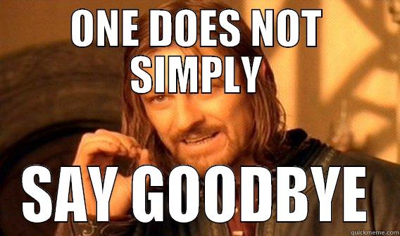 ONE DOES NOT SIMPLY SAY GOODBYE One Does Not Simply