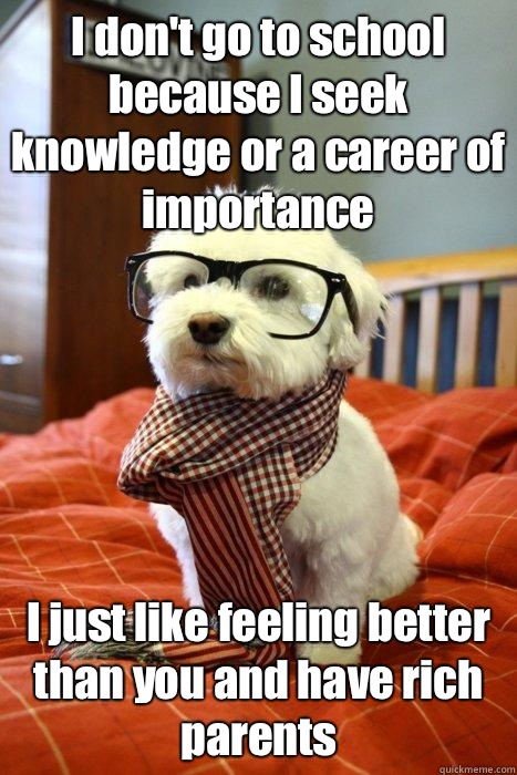 I don't go to school because I seek knowledge or a career of importance I just like feeling better than you and have rich parents  Hipster Dog