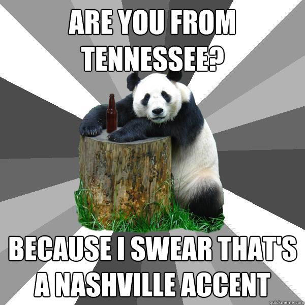 ARE YOU FROM TENNESSEE? BECAUSE I SWEAR THAT'S A NASHVILLE ACCENT  Pickup-Line Panda