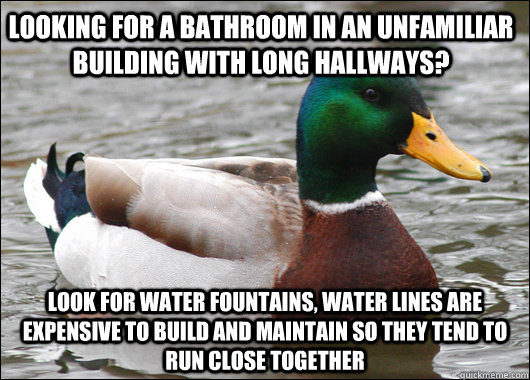 Looking for a bathroom in an unfamiliar building with long hallways? Look for water fountains, water lines are expensive to build and maintain so they tend to run close together  Actual Advice Mallard