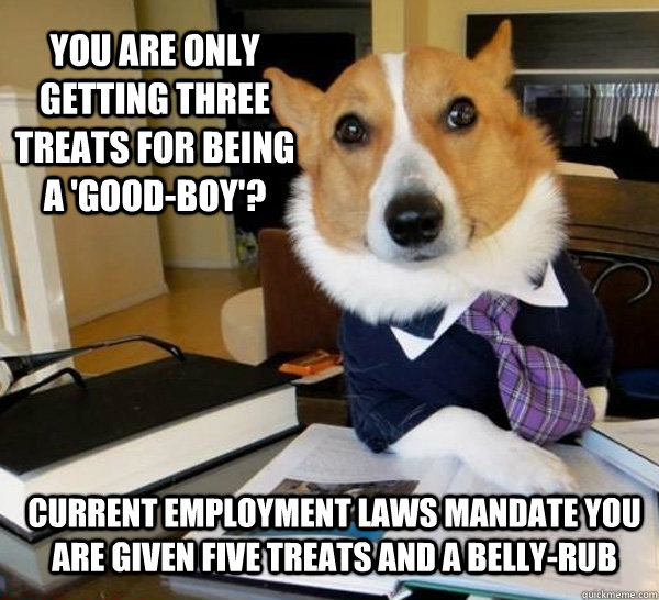 You are only getting three treats for being a 'good-boy'? Current employment laws mandate you are given five treats and a belly-rub  Lawyer Dog