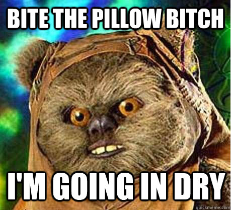 Bite the pillow bitch i'm going in dry  